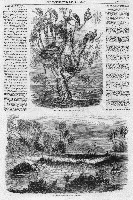 iln page 4 TN